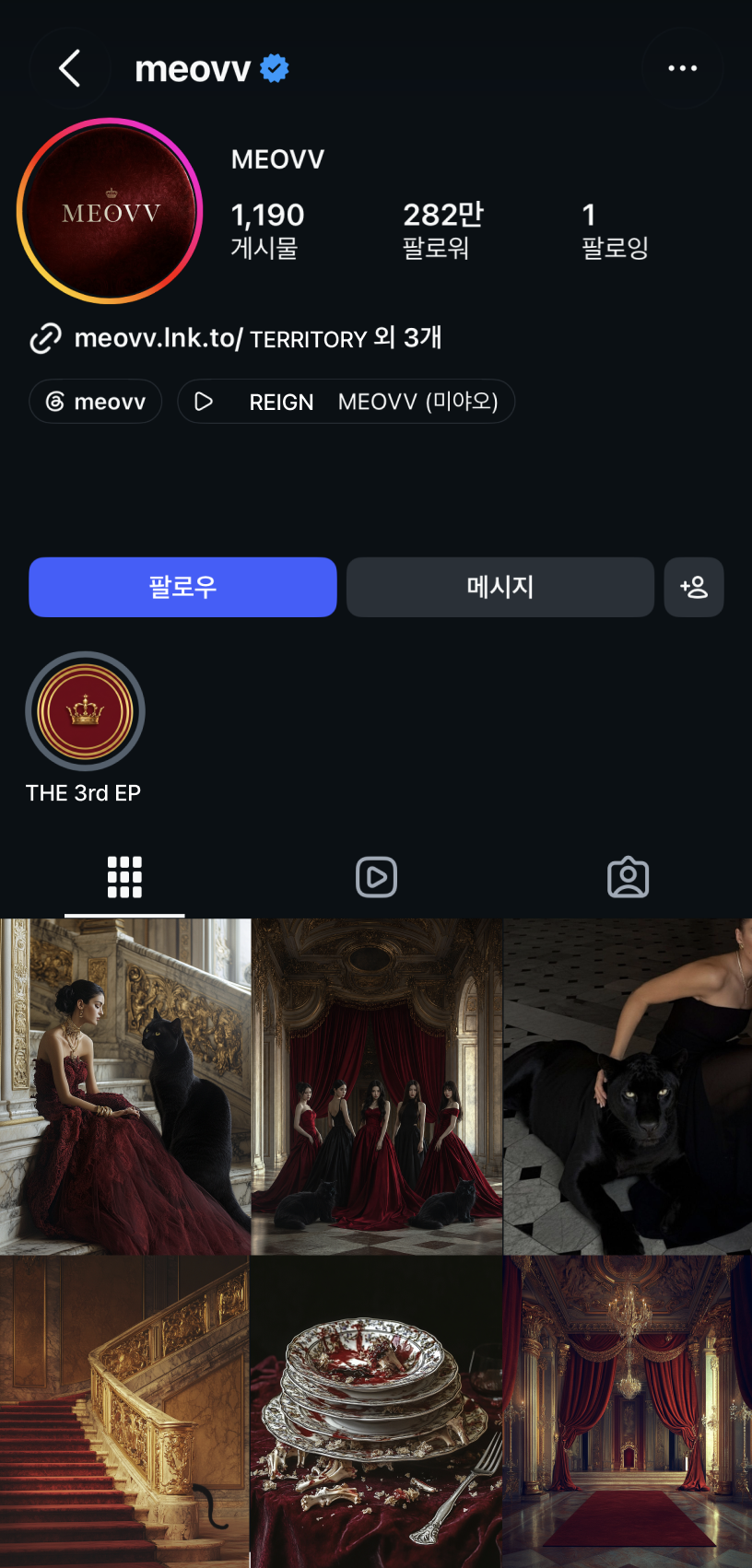 Instagram feed branding
